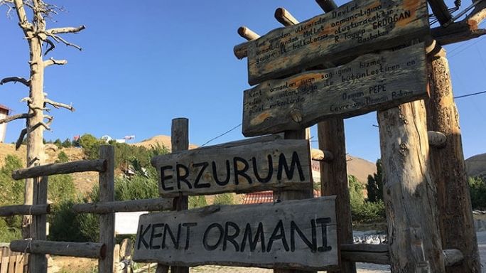 Erzurum Kent Ormanı Mesire Alanı